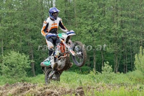DSC01375 (1400) (1)